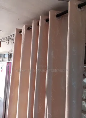 Baige Curtains With Silver Details