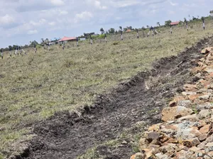 Well-Developed Gated Plots in Ruiru-Kamakis ^Jm