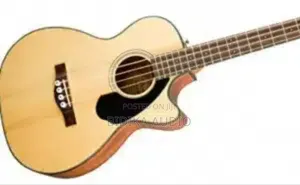 New Semi Acoustic Bass Guitar 4 Strings