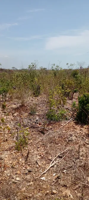 1/2 Acre Plot on 3rd Row in Galu Beach