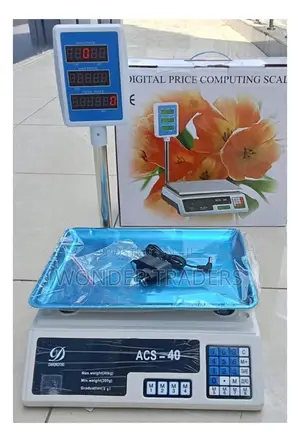 Weighing Scale With Arm