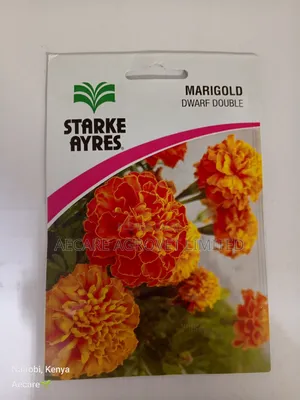 Marigold Dwarf Double Flower Seeds 3grams