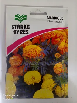 Marigold Cracker Jack Flower Seeds 3.5 Grams
