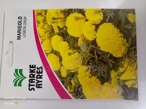 Marigold Lemon Drop Flower Seeds 0.5 Grams