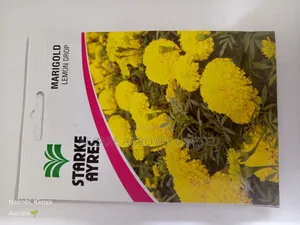 Marigold Lemon Drop Flower Seeds 0.5 Grams