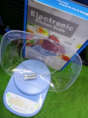 Electronic Kitchen Scale/Kitchen Scale