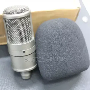 Original Condenser Microphone Sponge