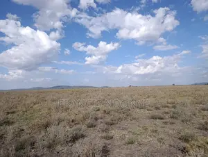 Land for Sale - Malili, Konza