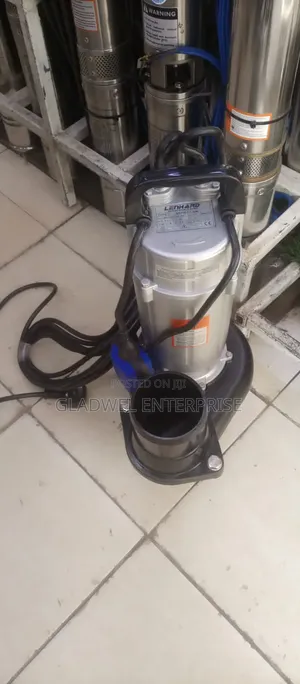 Lenhard 2hp Sewage Pump