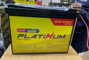Chloride Exide 200ah 12.8v Lifepo4 Platinum Lithium Battery