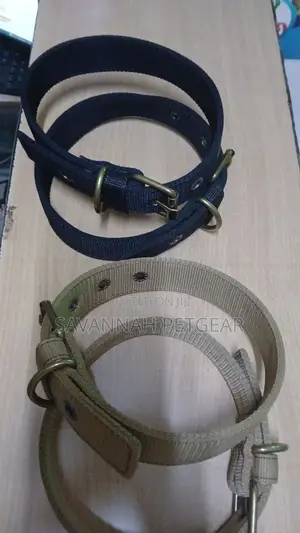 Strong Durable Collars With Firm Buckle D-Ring - Large
