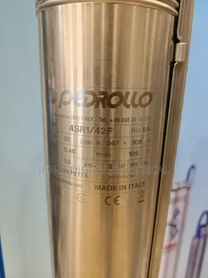 Pedrollo Water Pump