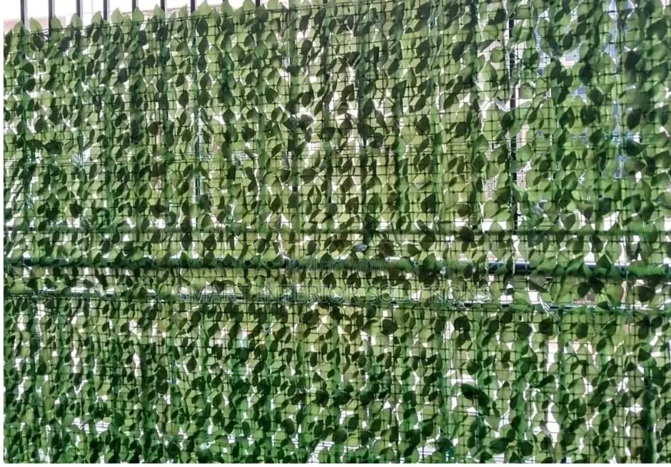Evergreen Artificial Fence in Tsavo Road, Odeon