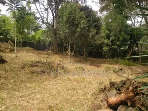 Large Residential Eighth Acre Red Soil Plot in Ngong Bondeni