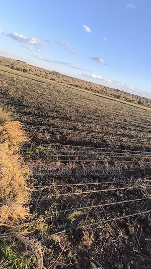 Drip Irrigation Supply and Installation