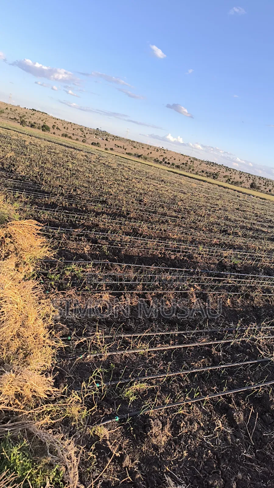 Drip Irrigation Supply and Installation
