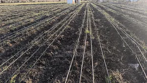 Drip Irrigation Supply and Installation