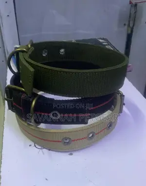 Nylon Dog Training Collars Heavy Duty Collar for - Large