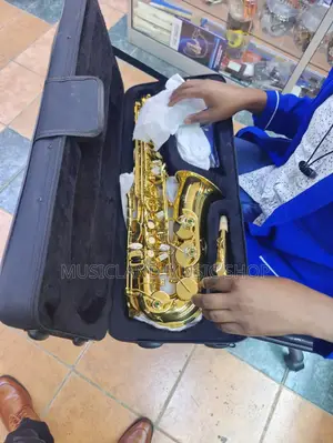 Premier Alto Saxophone