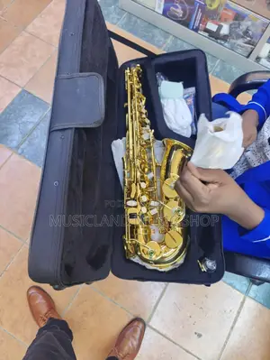 Premier Alto Saxophone