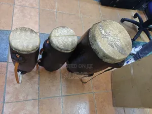 Isikuti Drum Monitor Lizard