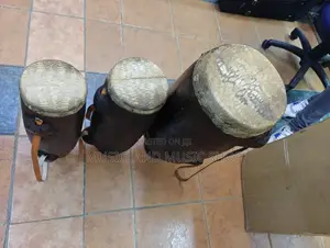 Isikuti Drum Monitor Lizard