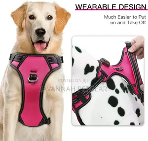 Durable Light Up Dog Harness Reflective Dog Harness - Large