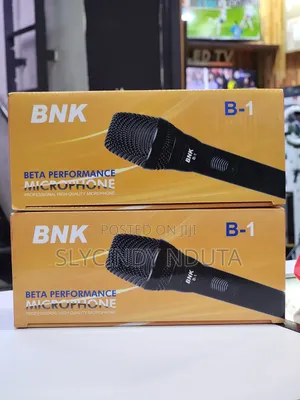 BNK Beta Performance Microphone B-1