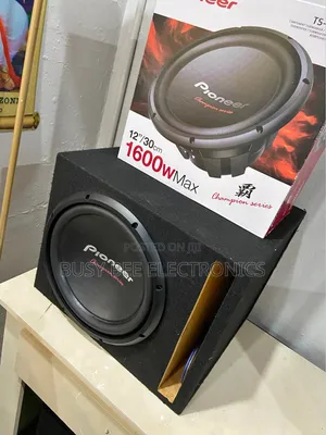 Series Double Coil 1600w Subwoofer