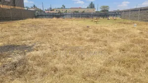 Syokimau 0.25 Acre Plot Community Road