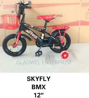 Best Quality Skyfly Unisex Kids Bicycle Size 12 Bicycle BMX