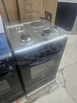 Standing Cooker Full Gas