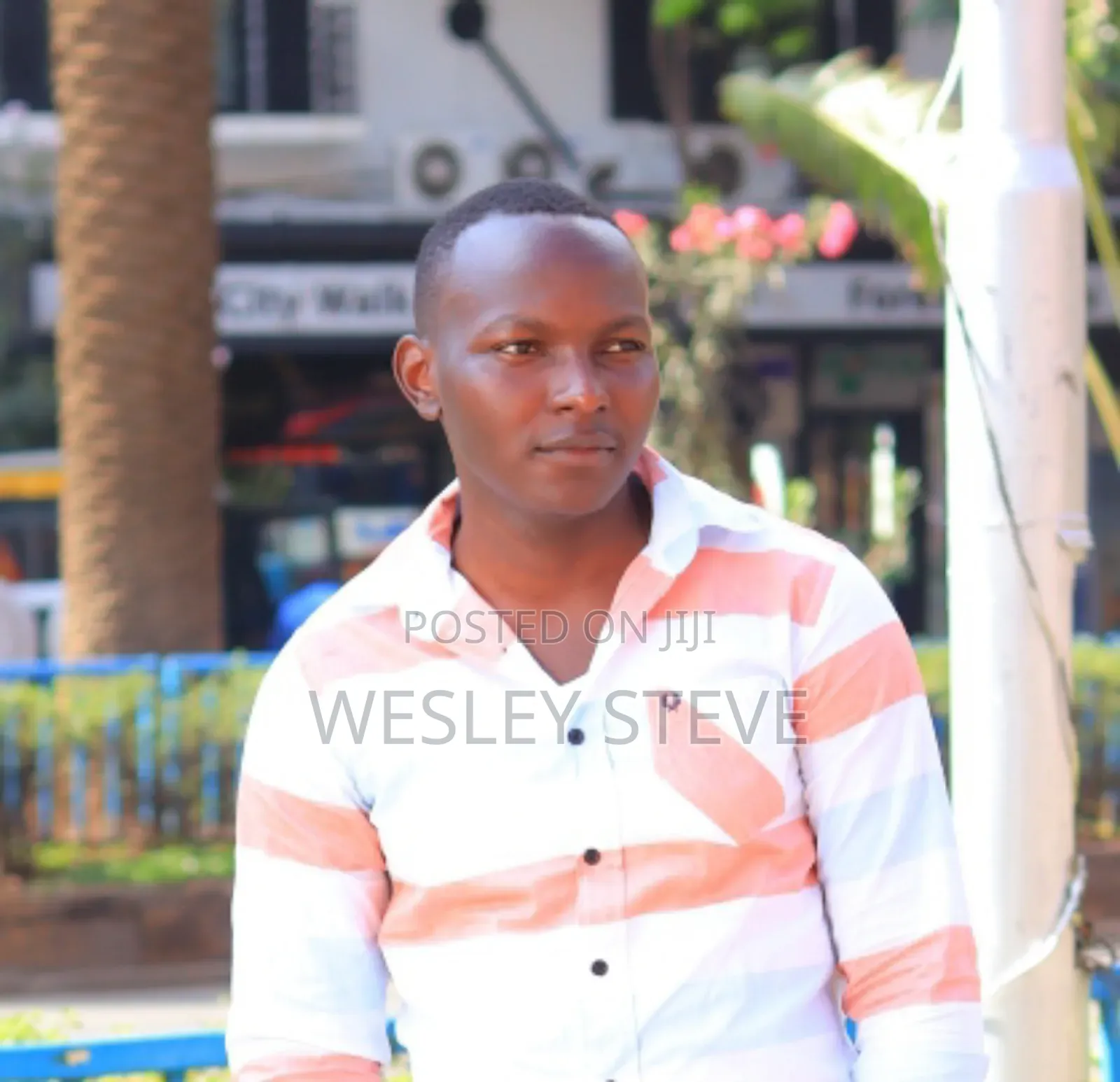 Wesley Steve