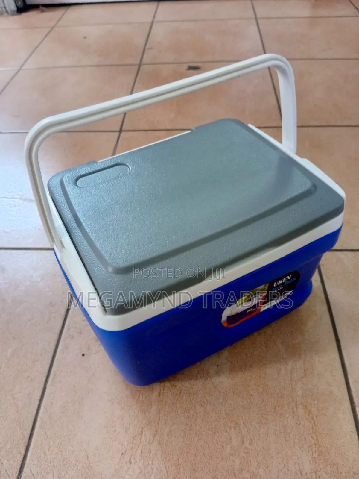 Cooler Box 5.5ltr/Ice Box 5.5litre