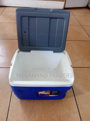 Cooler Box 5.5ltr/Ice Box 5.5litre
