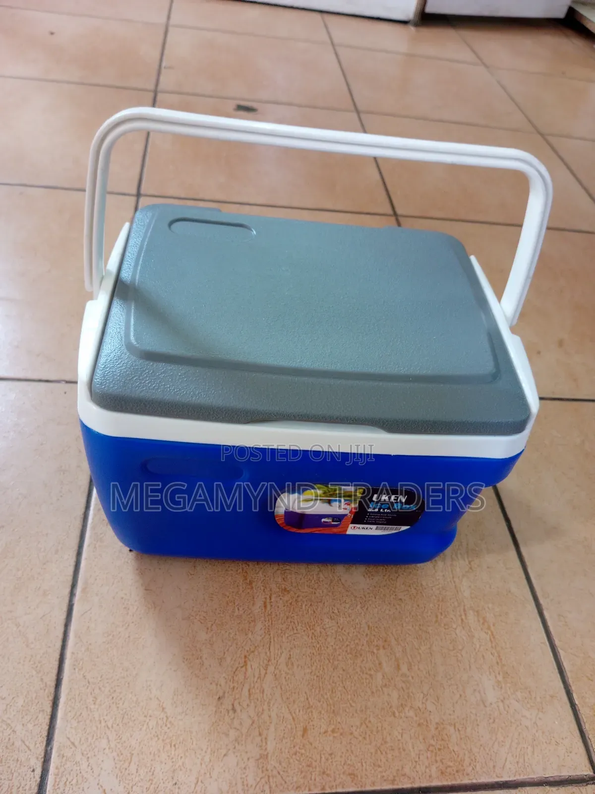 Cooler Box 5.5ltr/Ice Box 5.5litre