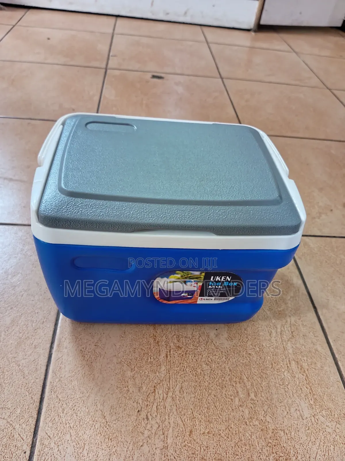 Cooler Box 5.5ltr/Ice Box 5.5litre