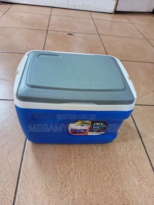 Cooler Box 5.5ltr/Ice Box 5.5litre