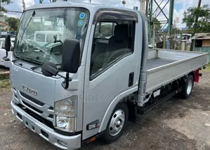 Isuzu Elf Truck 2019 Silver