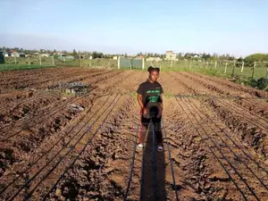 Drip Irrigation And Greenhouse Construction