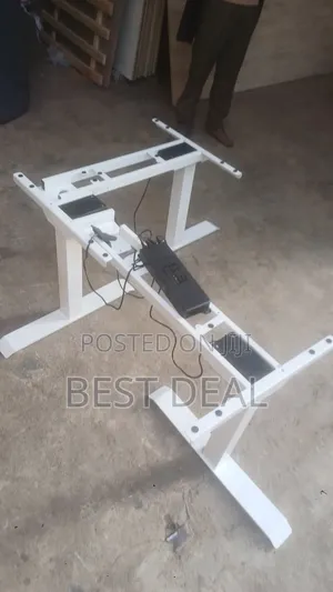 Ergonomics Sit Stand Electric Memory Desk