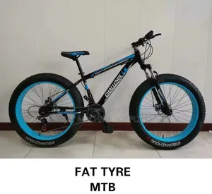 Fat Tire MTB Size 24 Bike