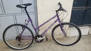 Ex Uk Alpine Mountain Bike