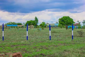 Cheap Plots in Kamakis ^Ma