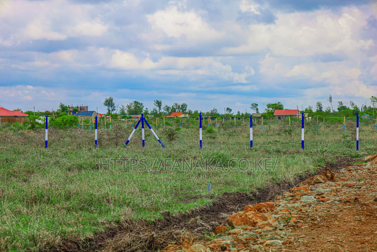 Cheap Plots in Kamakis ^Ma