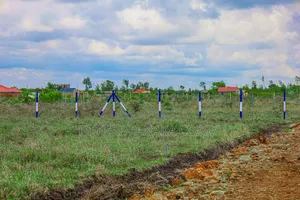 Cheap Plots in Kamakis ^Ma