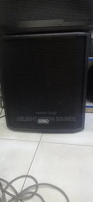Soundking Bass Speaker