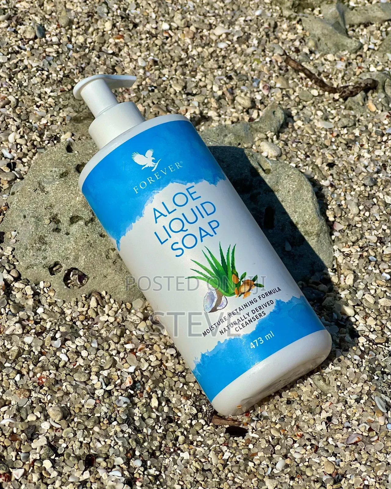 Aloe Full Body Liquid Soap