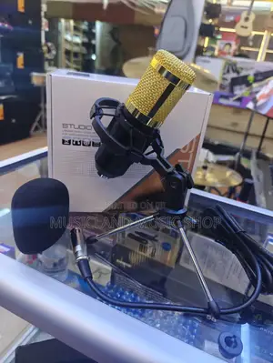 Studio Podcast Mic Set