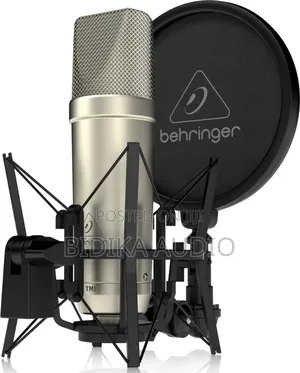 Behringer Tm1 Large Diaphragm Condenser Microphone Recording